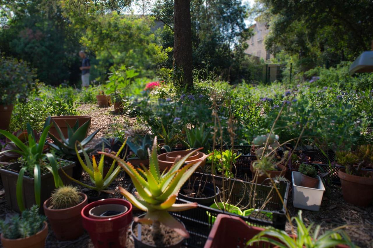 Ginkgo Bed & Breakfast Marseille Eksteriør bilde